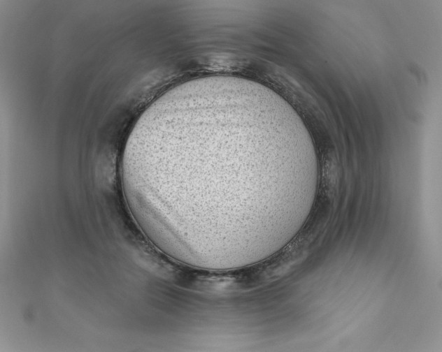 X0000111000554200907022139