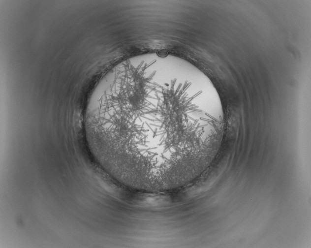 X0000111000555200907022139