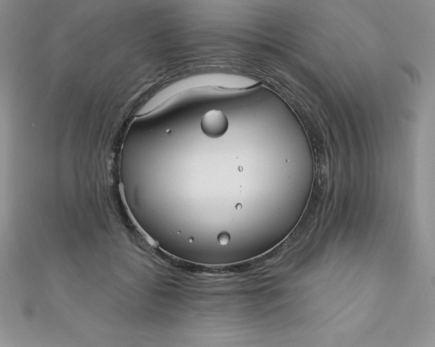 X0000111000556200907022139