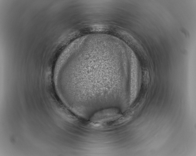 X0000111000557200907022139