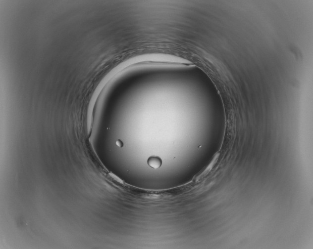 X0000111000558200907022139