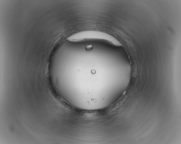 X0000111000560200907022139