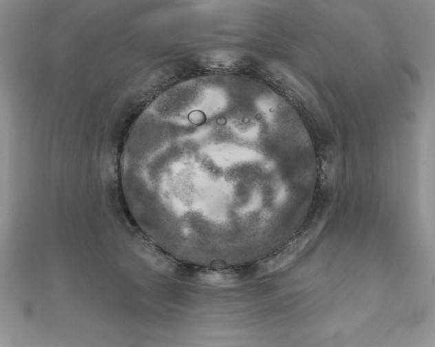 X0000111000561200907022139