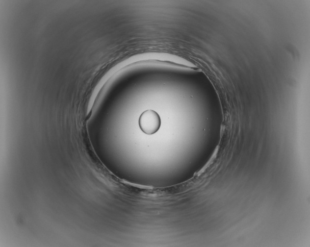 X0000111000564200907022139