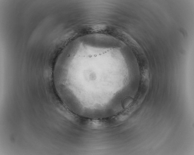 X0000111000565200907022139