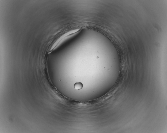 X0000111000566200907022139