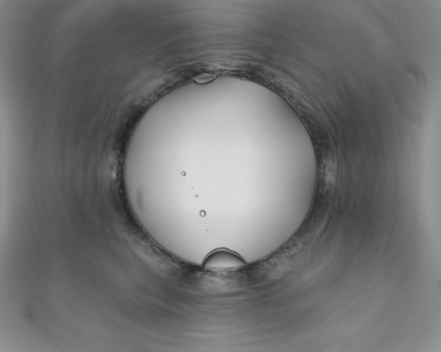 X0000111000567200907022139