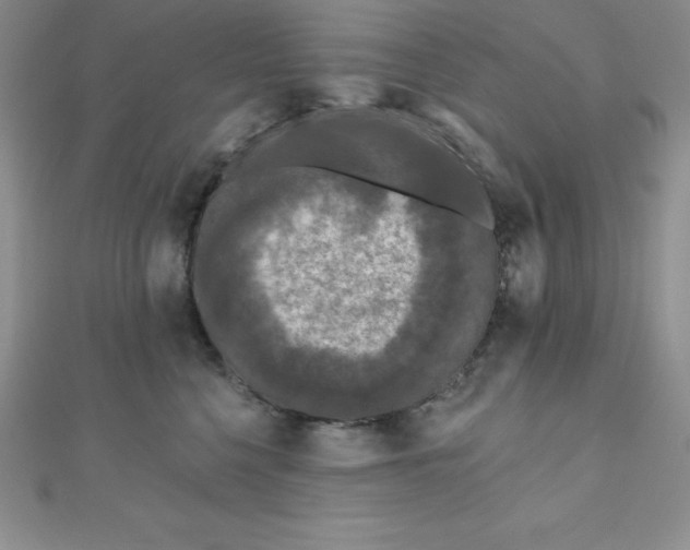 X0000111000568200907022139