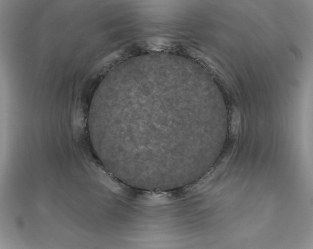 X0000111000569200907022139