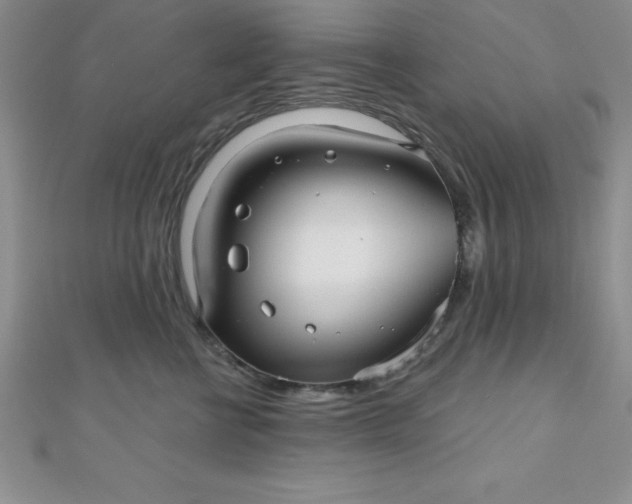 X0000111000570200907022139