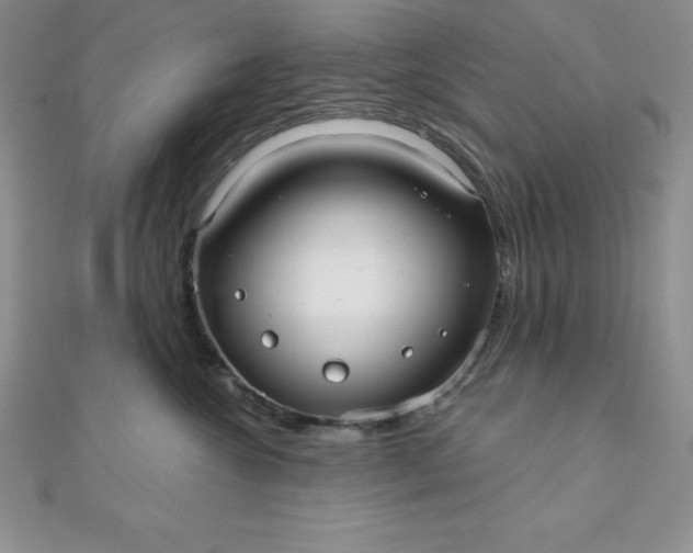 X0000111000572200907022139