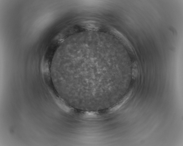 X0000111000573200907022139