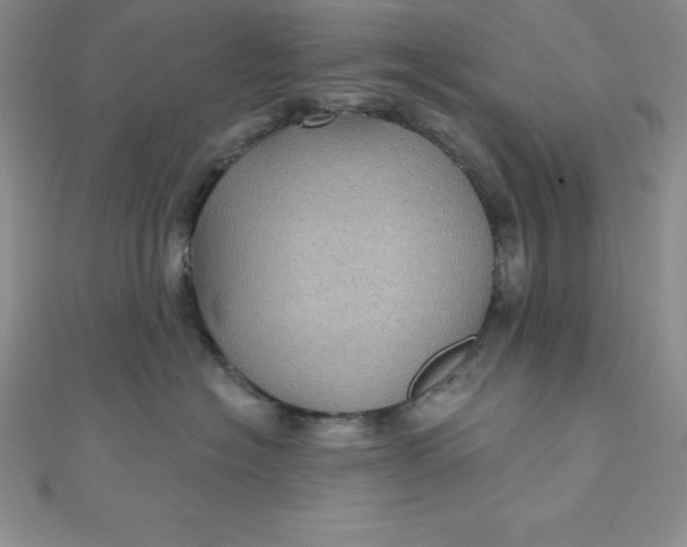 X0000111000574200907022139