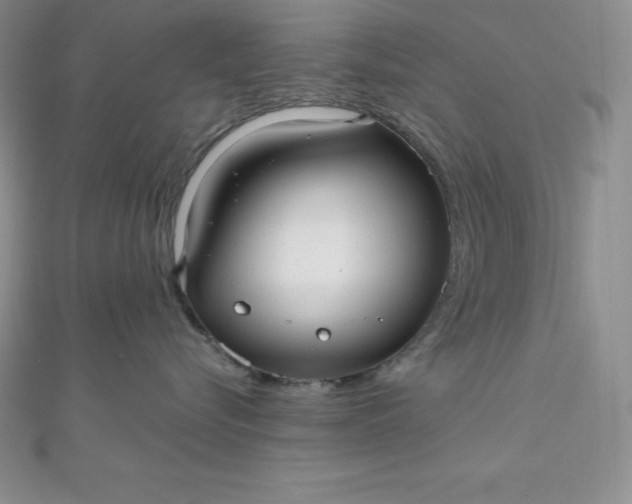 X0000111000576200907022139