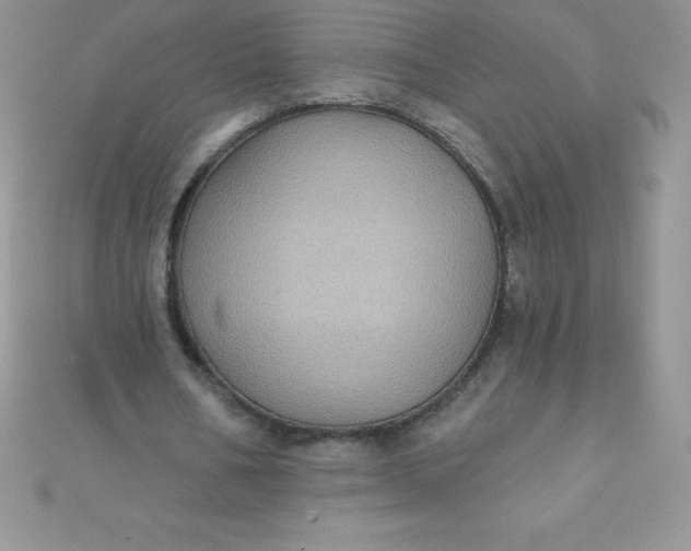 X0000111000578200907022139