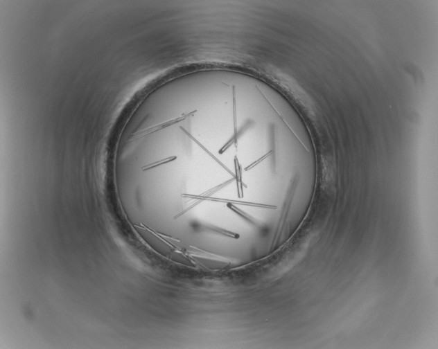 X0000111000580200907022139