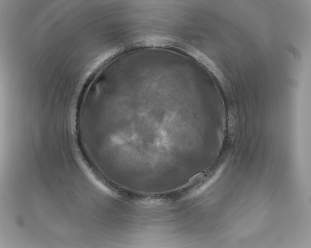 X0000111000581200907022139