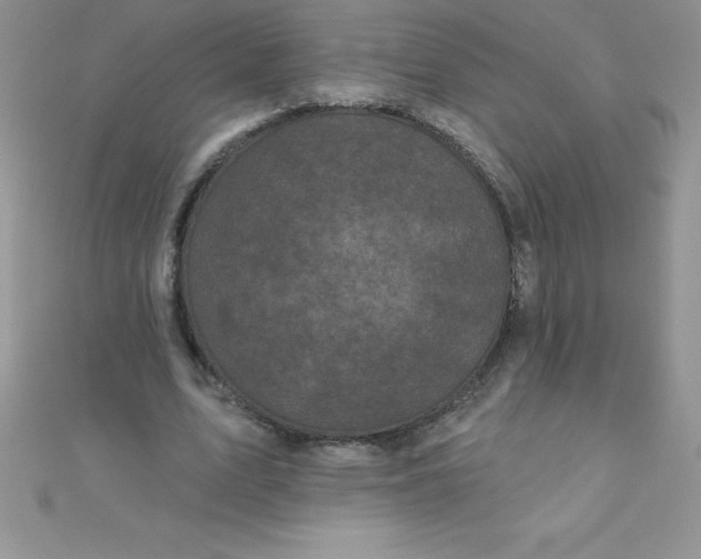 X0000111000583200907022139