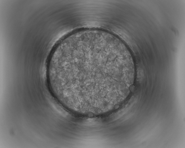 X0000111000584200907022139