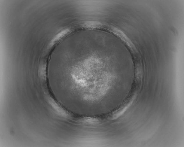 X0000111000585200907022139