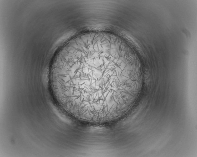 X0000111000586200907022139