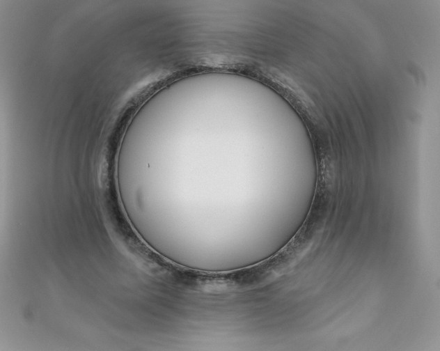 X0000111000587200907022139