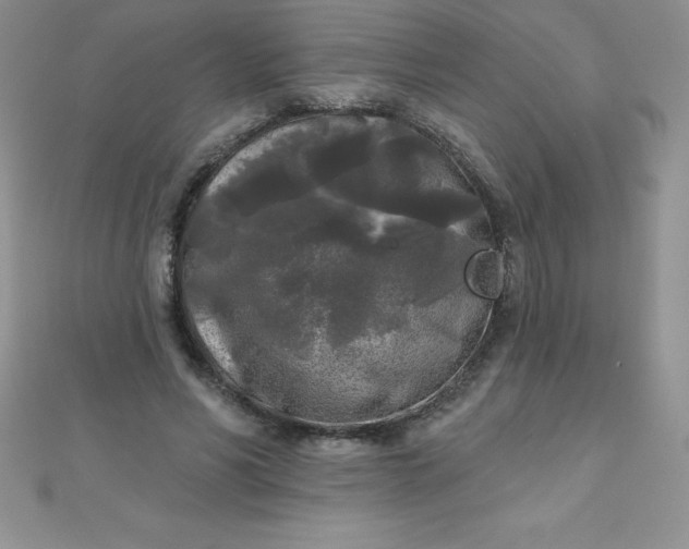 X0000111000590200907022139