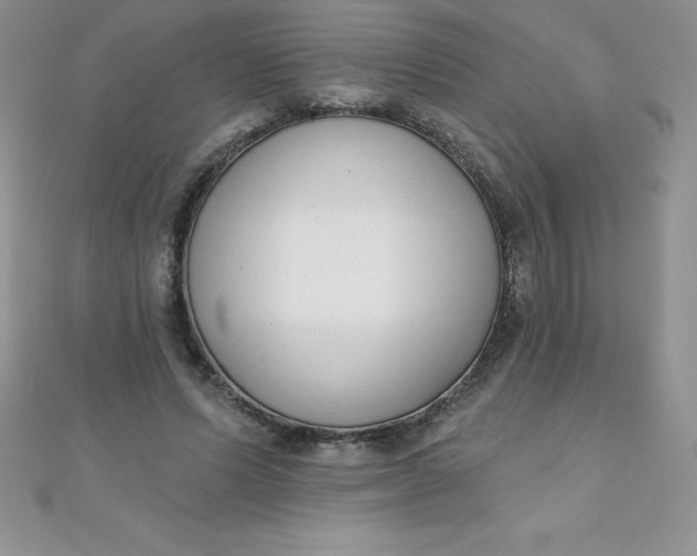 X0000111000591200907022139