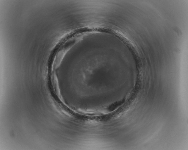 X0000111000592200907022139