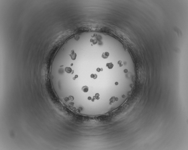 X0000111000594200907022139