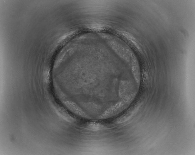 X0000111000596200907022139