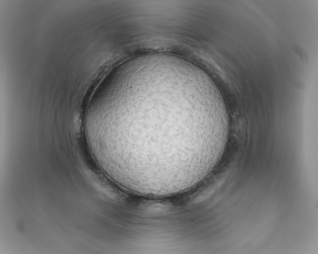 X0000111000597200907022139