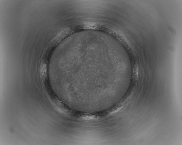 X0000111000598200907022139