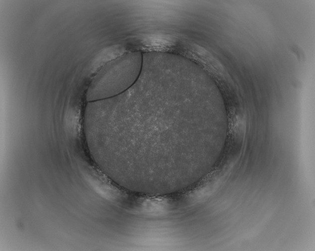 X0000111000599200907022139