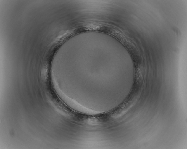 X0000111000600200907022139