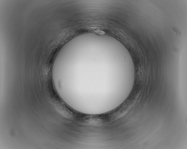 X0000111000601200907022138