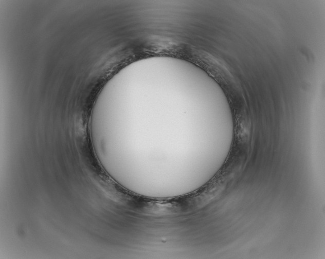 X0000111000607200907022138