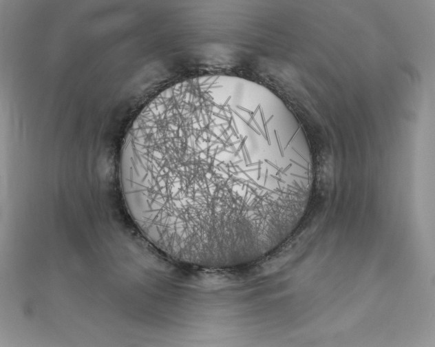 X0000111000608200907022138