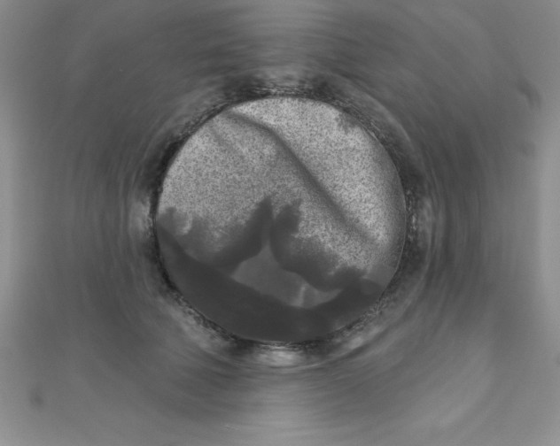 X0000111000610200907022138