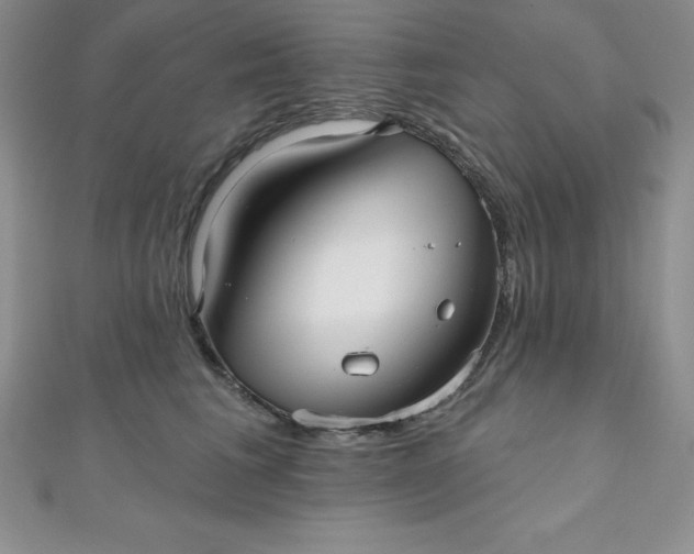 X0000111000613200907022138