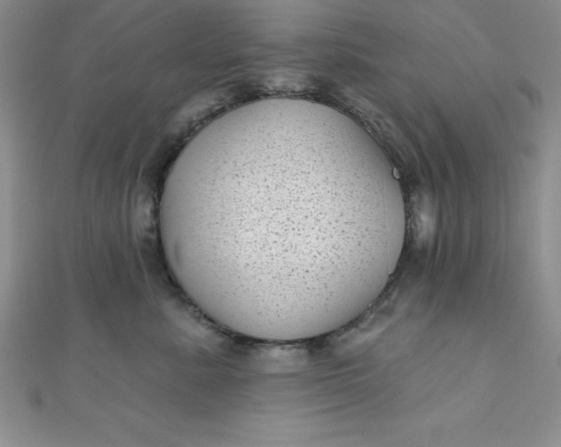 X0000111000619200907022138