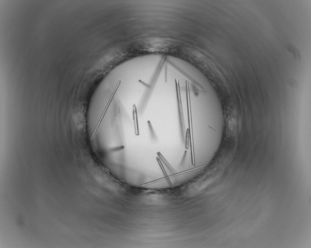 X0000111000620200907022138