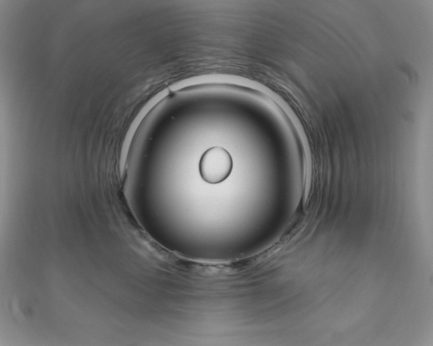 X0000111000621200907022138