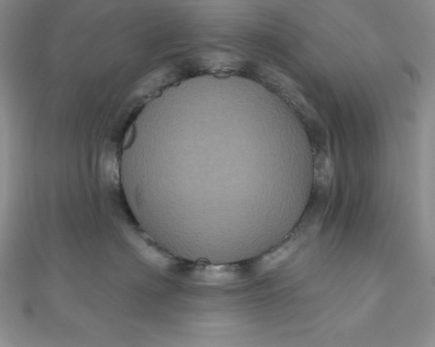 X0000111000622200907022138