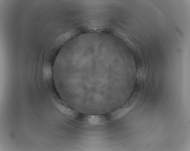 X0000111000623200907022138