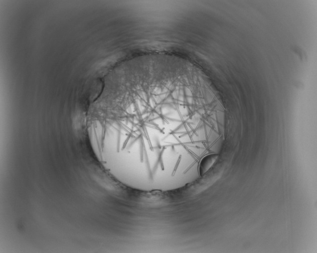 X0000111000624200907022138