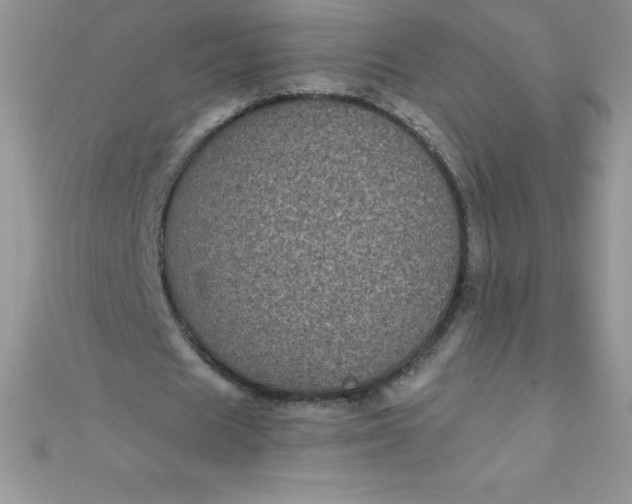 X0000111000625200907022137