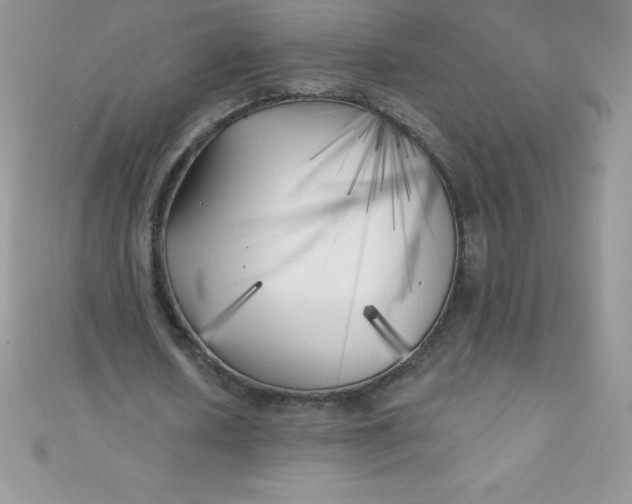 X0000111000626200907022137