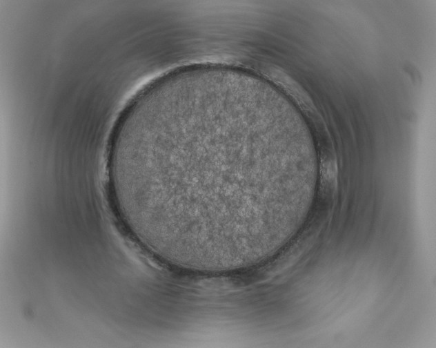 X0000111000628200907022137