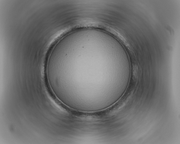 X0000111000629200907022137